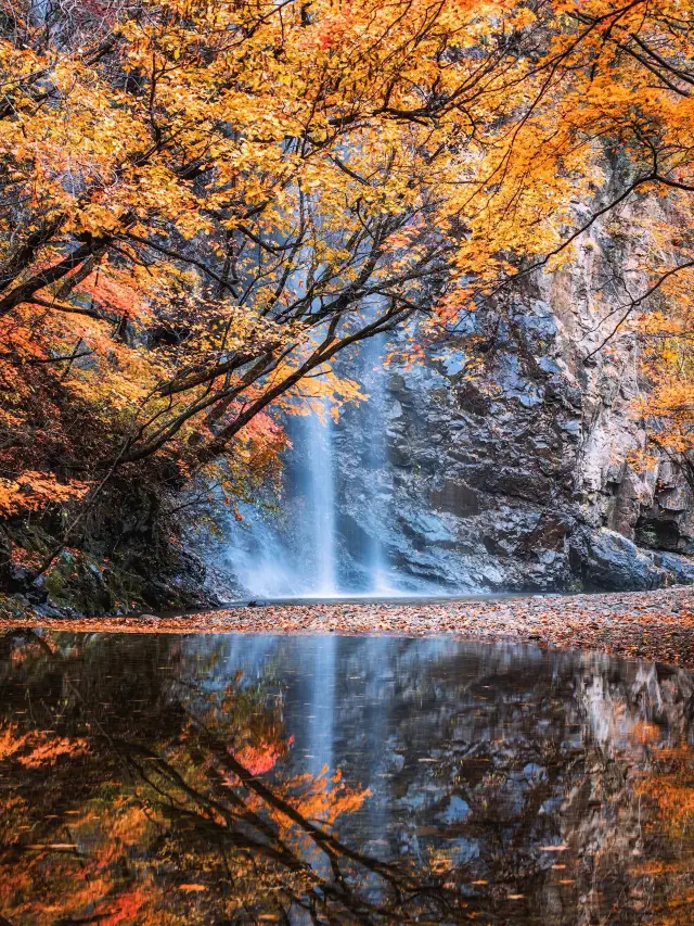 Liaoning | Benxi Guanshan Mountain • Winter Creek