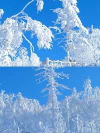 冰雪畫廊太美啦˃̶͈˂