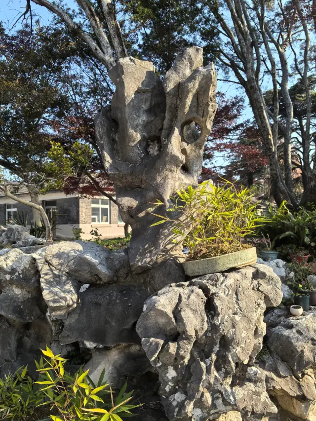 環秀山莊