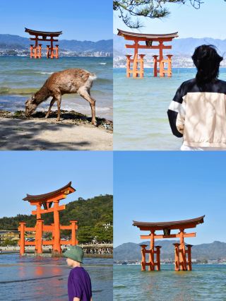 Hiroshima: A City of Timeless Charm