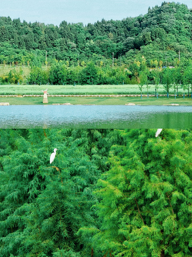 放鬆周末，野遊好去處