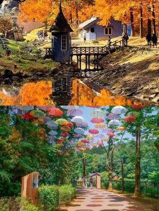 Saitama Kawagoe City Day Trip Must-Visit Attractions
