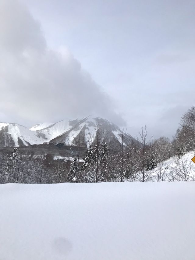 北海道小眾玩法！不滑雪也能馳騁大山
