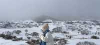 來烏蘭布統看雪了