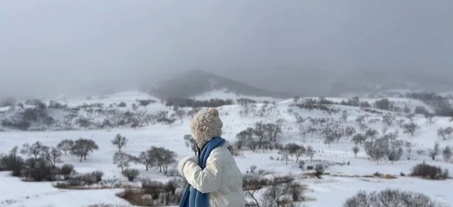 來烏蘭布統看雪了