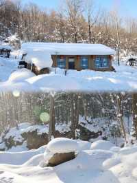 從雪谷穿越雪鄉，正確打開林海雪原的旅行方式