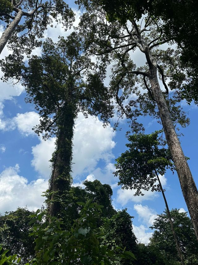 柬埔寨7日遊 老友出行必看攻略