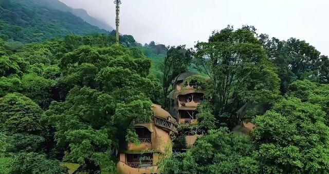 心靈深處的樹屋能讓你放鬆嗎～九州驛站
