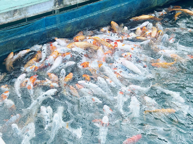 人間瑤池：這裡是廣東版千島湖