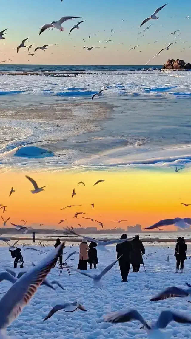Winter Wonderland in Qinhuangdao: Beyond Imagination!