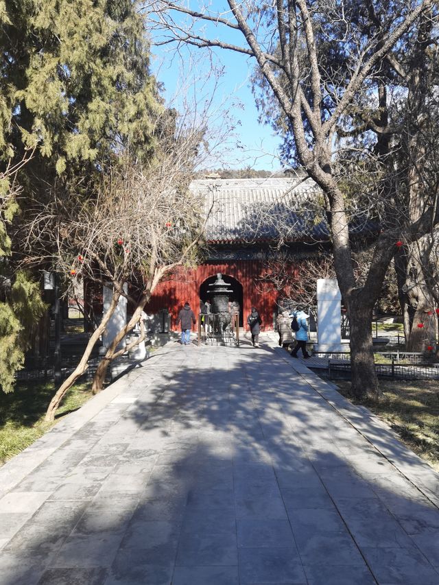 北京十方普覺寺（臥佛寺，元代）