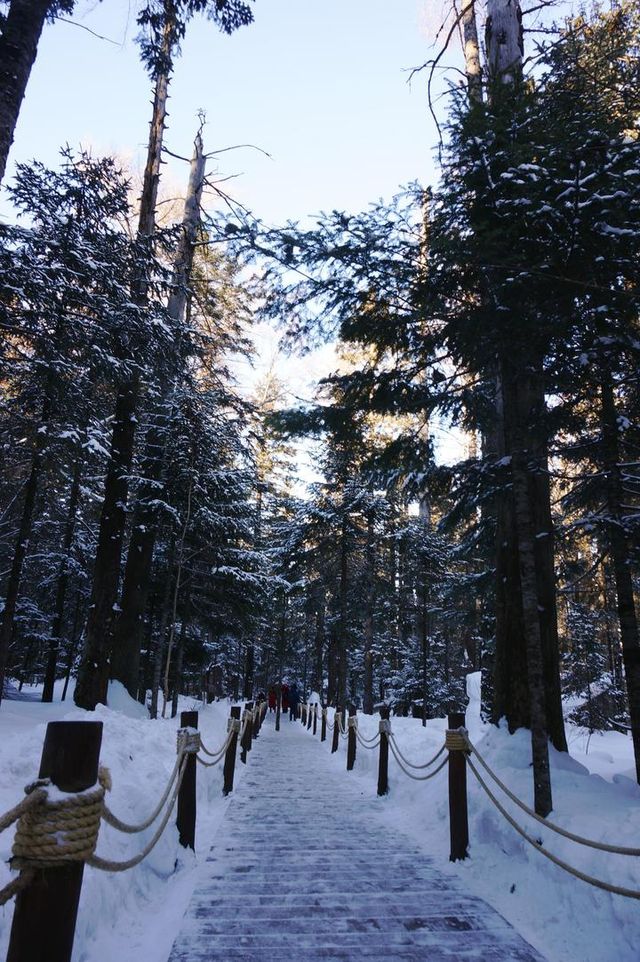 揭秘長白山，北國風光，盡覽眼底