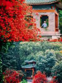 春遊記|東莞的古典公園，鏡頭下的春和景明