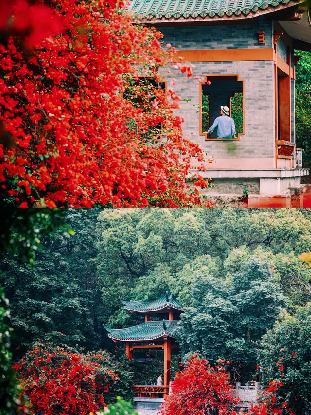春遊記|東莞的古典公園，鏡頭下的春和景明