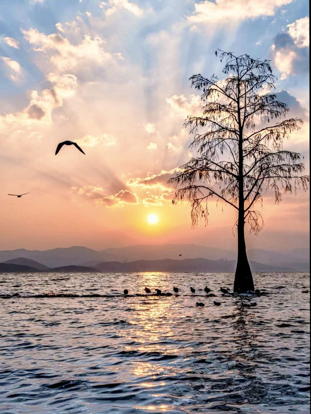 Why I Love Lake Erhai – A Yunnan Journey 