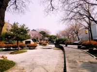 Xi'An City Wall Park: A Green Belt around The Heart of Ancient City