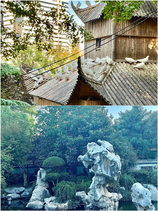 鄭州窮遊已回，說說難聽大實話