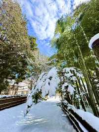 中尊寺：金色堂的佛教藝術之旅