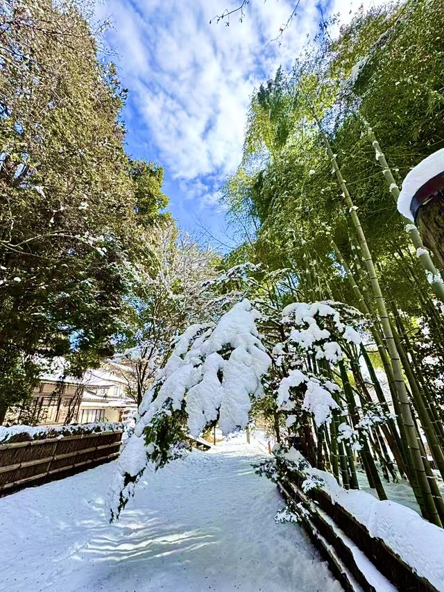中尊寺：金色堂的佛教藝術之旅