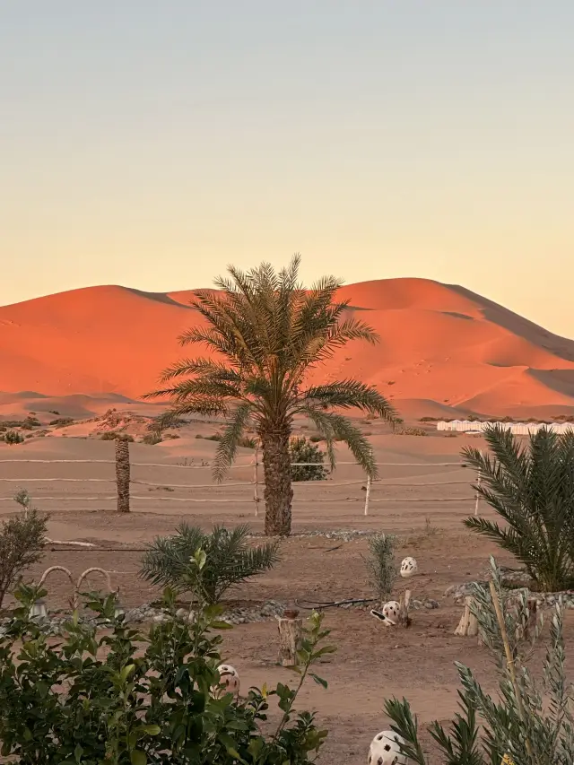 Visa-Free Travel to Morocco and More: A Must-See Series You Won't Regret