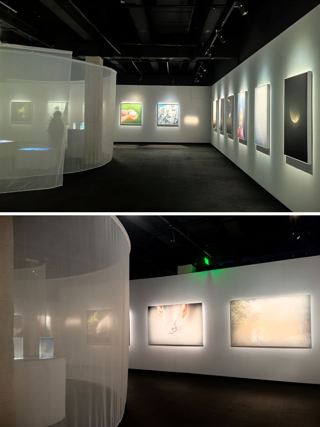 蘇州河的春日人文藝術~展覽和美食皆不可錯過 蘇州河的春日人文藝術~展覽和美食皆不可錯過