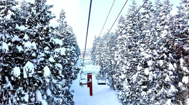 日本滑雪場巡禮｜岐阜高鷲和Dynaland
