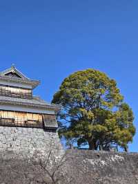 6天暢遊日本 超詳細攻略來啦