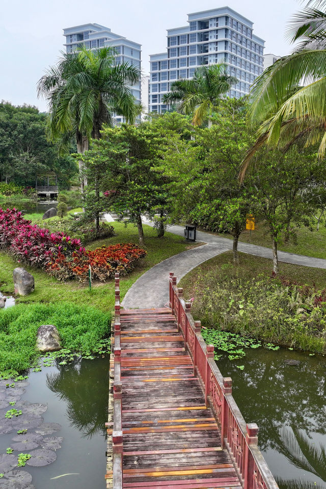 瓊中濕地公園——自然與詩意的邂逅