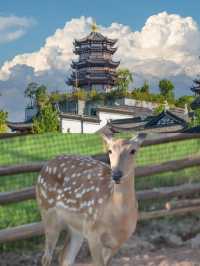 衢州已回，真心不建議3月去。