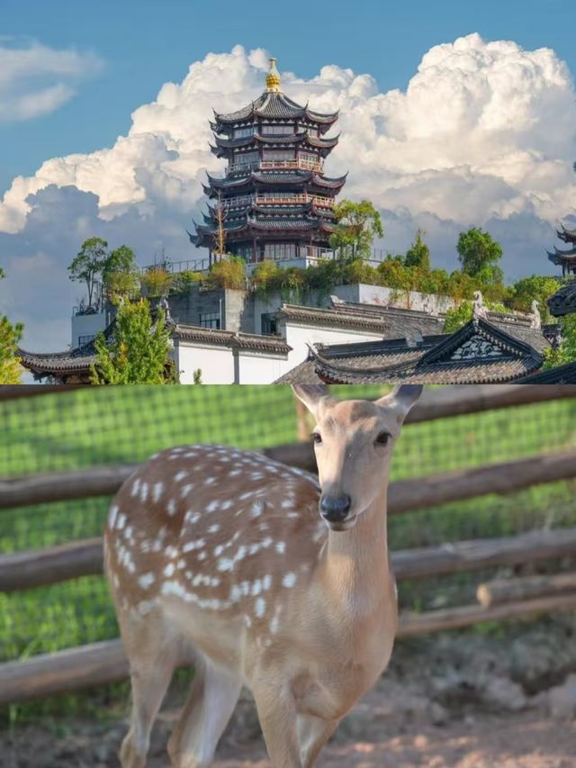 衢州已回，真心不建議3月去。