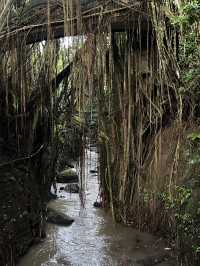 Bali 3 Days Travel Guide 