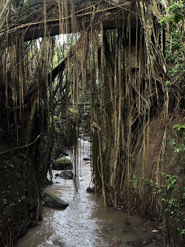 Bali 3 Days Travel Guide 