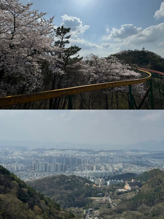 探索光州：發掘小眾寶藏勝地