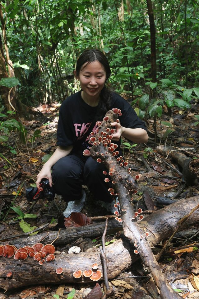 超抵玩，幾千元玩轉馬來西亞熱帶雨林