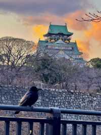 8日暢遊日本 超齊全攻略帶你玩轉熱門景點