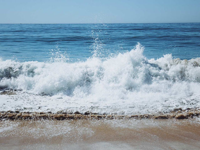 🌊 美國半月灣｜灣區隱藏版秘境攻略，超美海景+海鮮天堂🦀 
