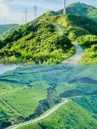 新興風車山自由在此刻具象化了！！