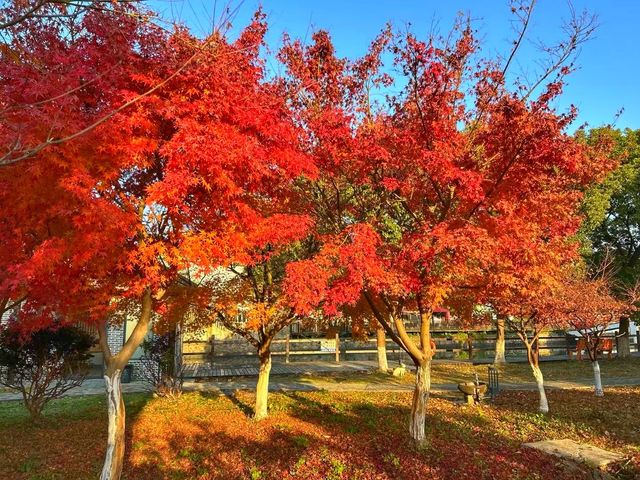 冬日浪漫度假勝地