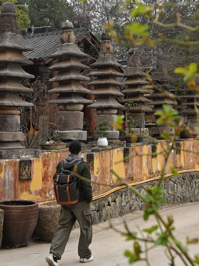 一身反骨的冷門寺廟自帶慵懶鬆弛感