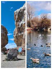 拉薩5天4晚短途旅行city wall