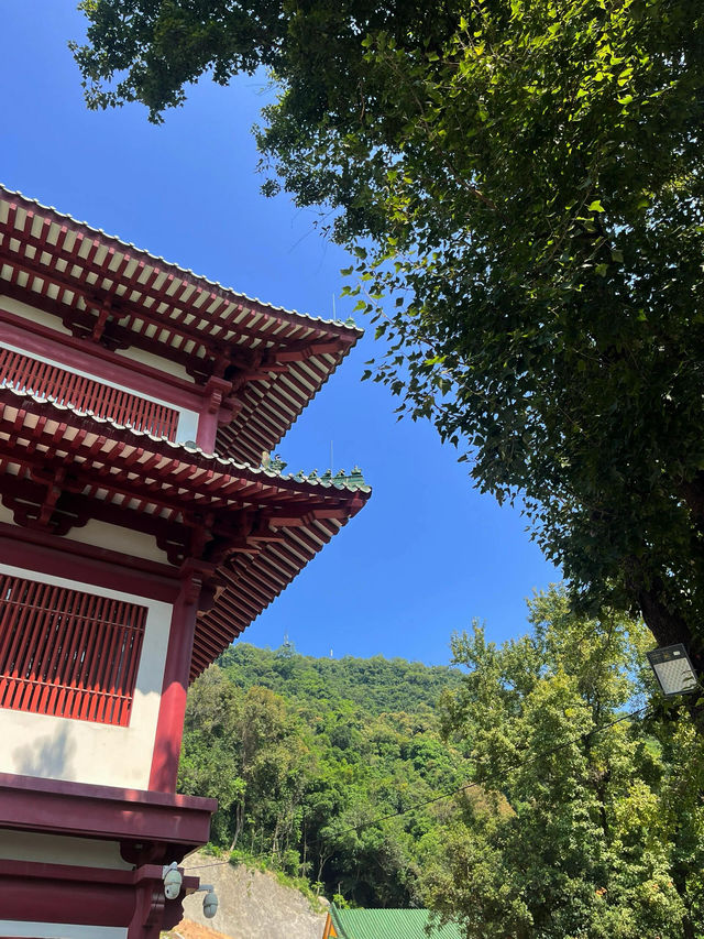 新會圭峰山｜逃離都市吸氧計劃