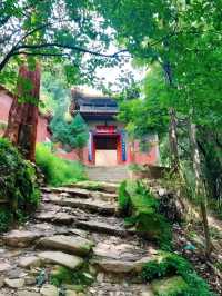 昆明周邊遊｜城市一角，妙高寺，春日賞花好去處～