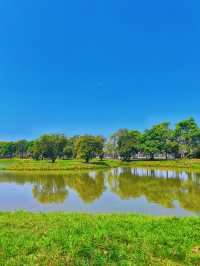 踏入海珠國家濕地公園，在濕地的靜謐中聆聽自然的淺吟低唱