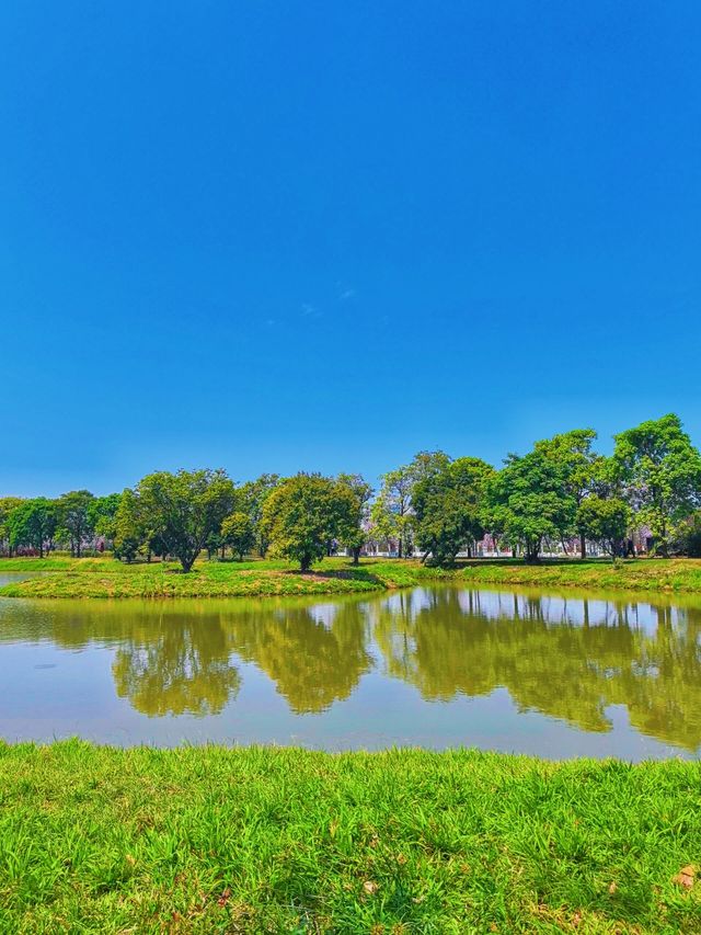 踏入海珠國家濕地公園，在濕地的靜謐中聆聽自然的淺吟低唱
