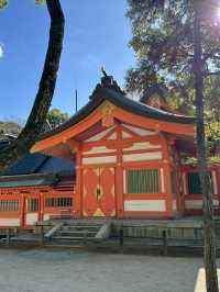 樂水園與住吉神社一日遊：心靈信仰的交織🌳⛩️