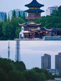 興化果然是油菜花海天花板