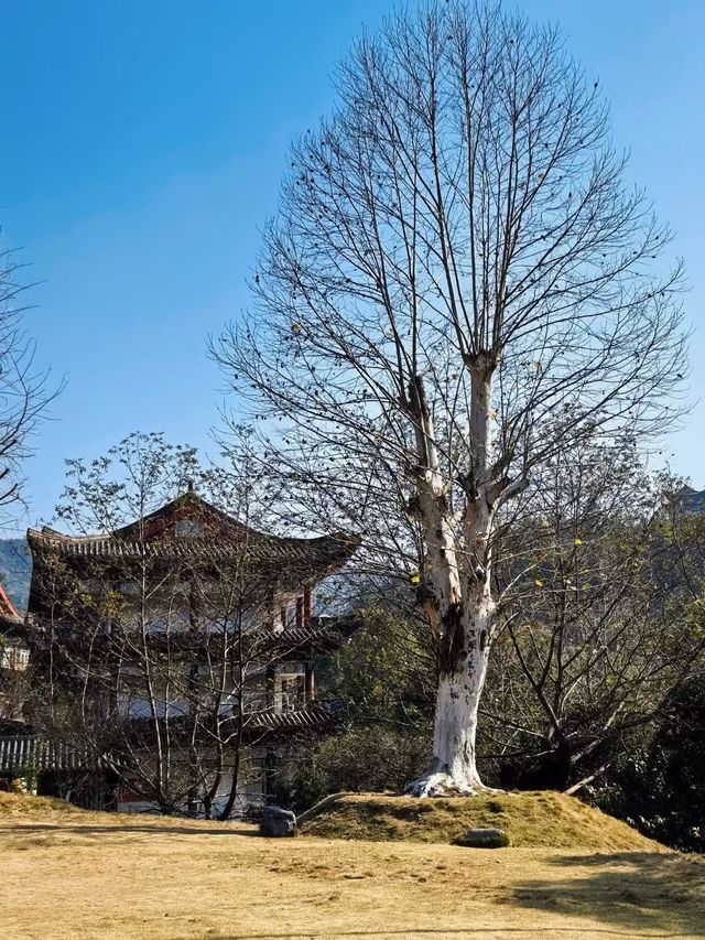 長沙小眾周邊遊｜寶蓋寺，隱藏的世外桃源