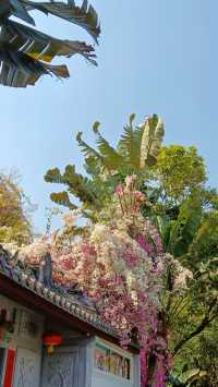 春分賞花才是正經事