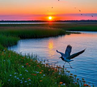 Explore Astrakhan and discover the charm of southern Russia.