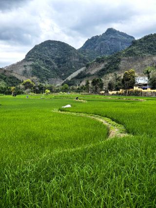 Hainan Trip — The Last Li Tribe — Hongshui Village